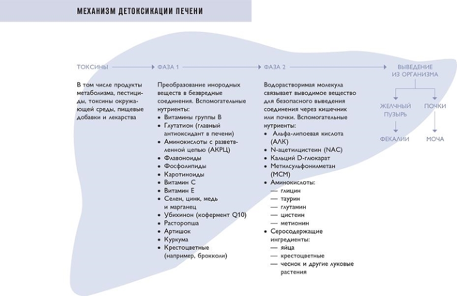 Биохакинг - i_082.jpg