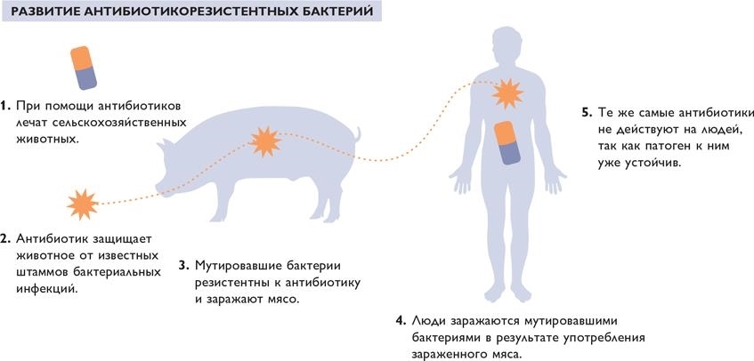 Биохакинг - i_084.jpg