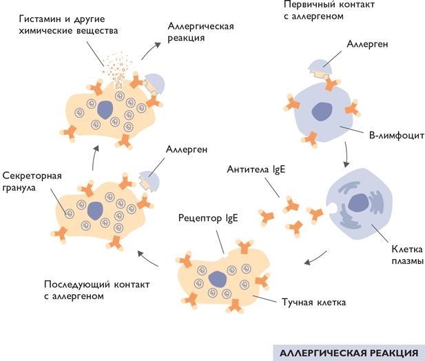 Биохакинг - i_094.jpg