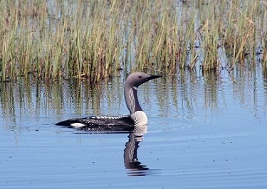 А вот был случай - _74.jpg