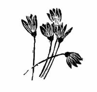 Март - page0334.jpg