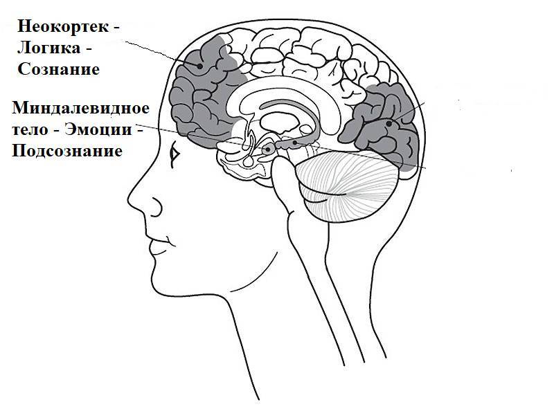 Узник Боли: исцеление от детских и взрослых травм - _1.jpg