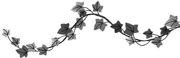 Удивительное знакомство - i_021.jpg