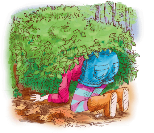 Большая книга волшебных историй из Леса Дружбы - i_019.png