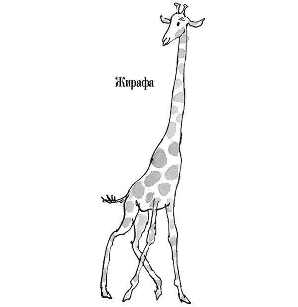 Жирафа, и Пелли, и я - i_002.jpg