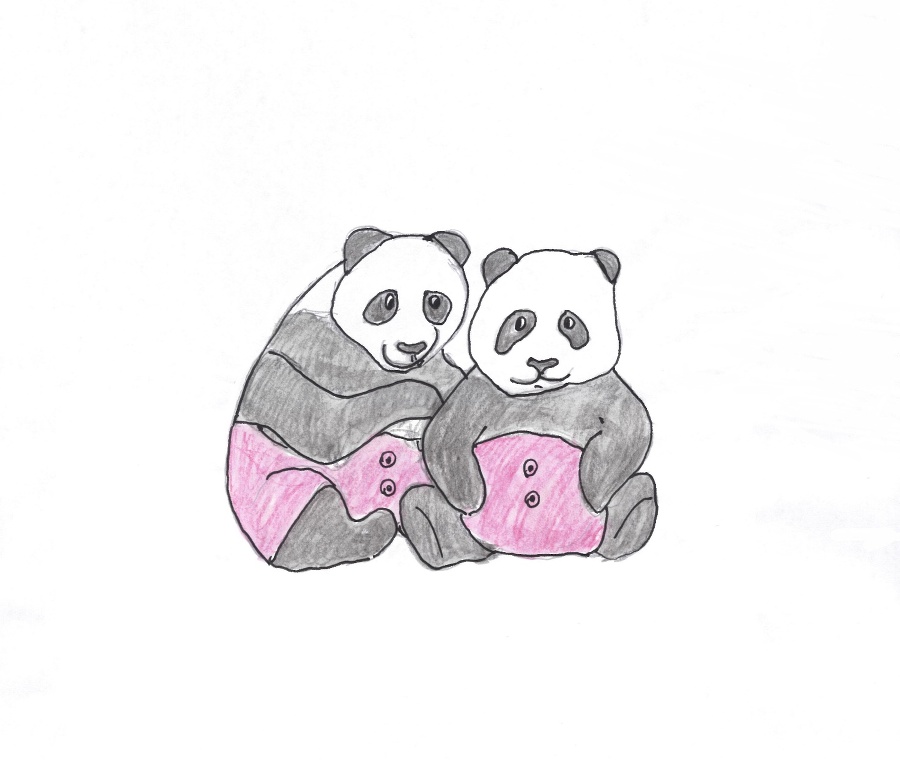 Капитан PanDa спешит на помощь - _3.jpg