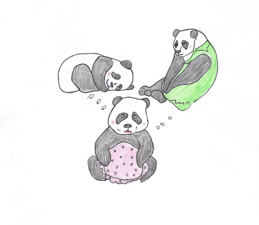 Капитан PanDa спешит на помощь - _4.jpg