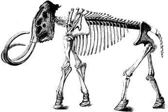 Север и оружие - i_012.jpg