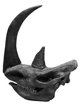 Север и оружие - i_013.jpg