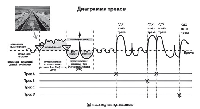 Психосоматика. Когда болеет тело, а причины в душе. Как самостоятельно помочь телу, понимая его язык - i_007.jpg