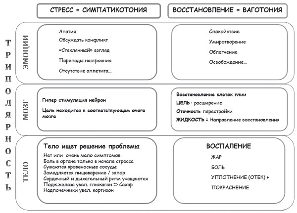 Психосоматика. Когда болеет тело, а причины в душе. Как самостоятельно помочь телу, понимая его язык - i_010.jpg