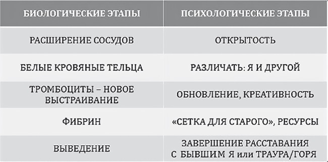 Психосоматика. Когда болеет тело, а причины в душе. Как самостоятельно помочь телу, понимая его язык - i_014.jpg