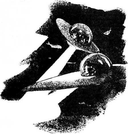 Из глубины глубин(Большая книга рассказов о морском змее) - i_098.jpg