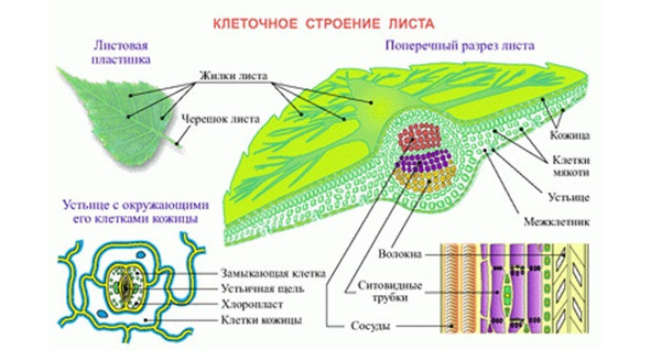 Талантливое мышление. ТРИЗ - image5_5bb8d8a78590160700756f41_jpg.jpeg