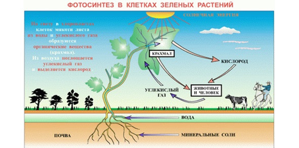 Талантливое мышление. ТРИЗ - image8_5bb8e1a95eb3080700a5601b_jpg.jpeg