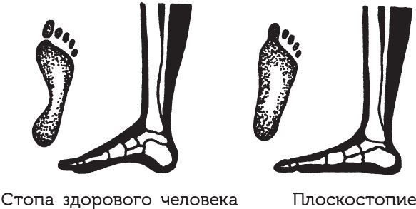 Занимательная анатомия - i_009.jpg