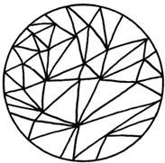 ЭКОsapiens. Простые правила осознанной жизни - i_004.jpg