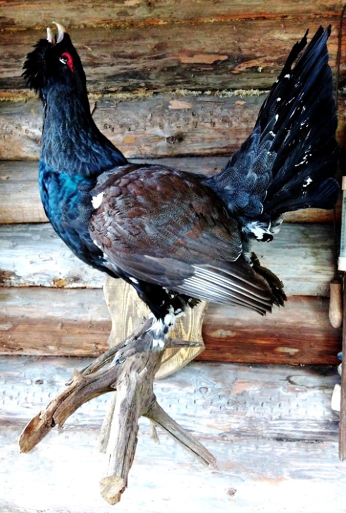 Военно-морские, охотничьи и рыбацкие истории. Серьёзно и смешно, всегда с любовью. Книга 1 - _8.jpg