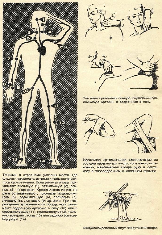 Первая помощь при травмах и несчастных случаях - i_017.jpg