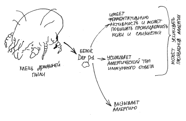 Аллергия и как с ней жить. Руководство для всей семьи - i_010.png