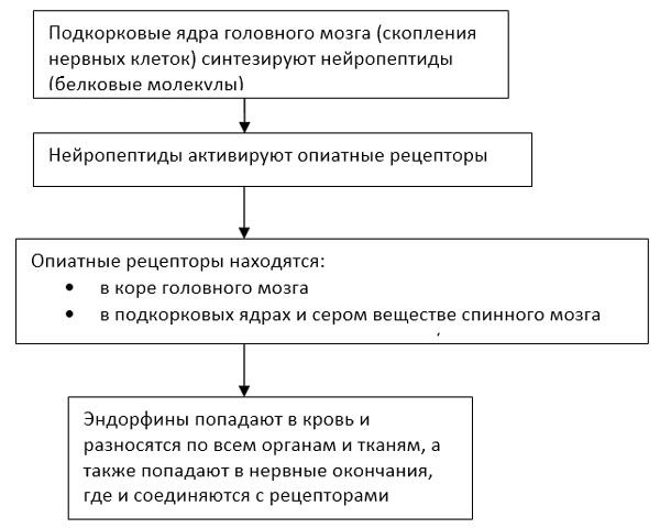 Апгрейд головного мозга - i_002.jpg