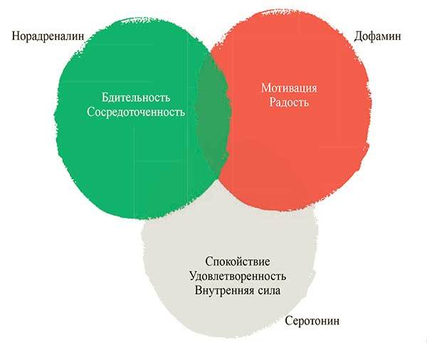 Шведские правила здоровья - i_013.jpg