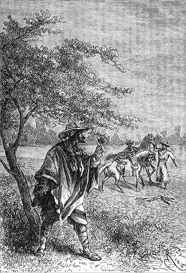 Гаспар-гаучо. Затерявшаяся гора - i_009.jpg