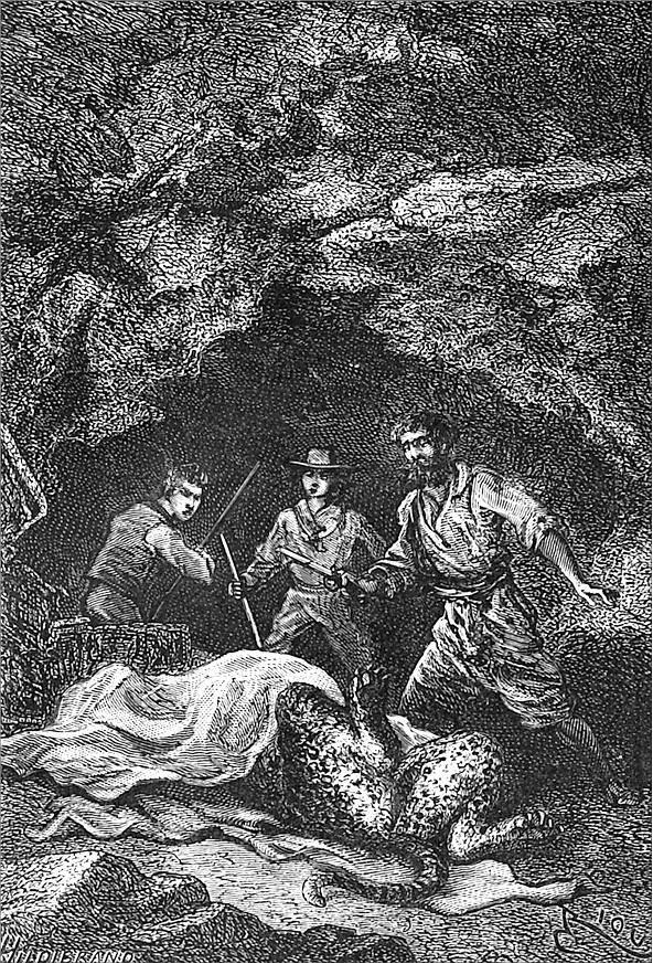 Гаспар-гаучо. Затерявшаяся гора - i_011.jpg