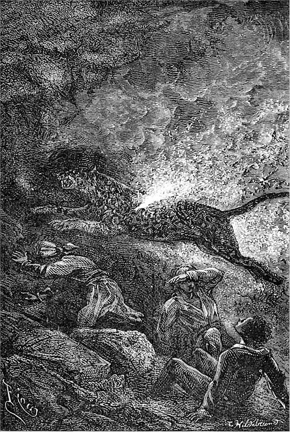 Гаспар-гаучо. Затерявшаяся гора - i_012.jpg