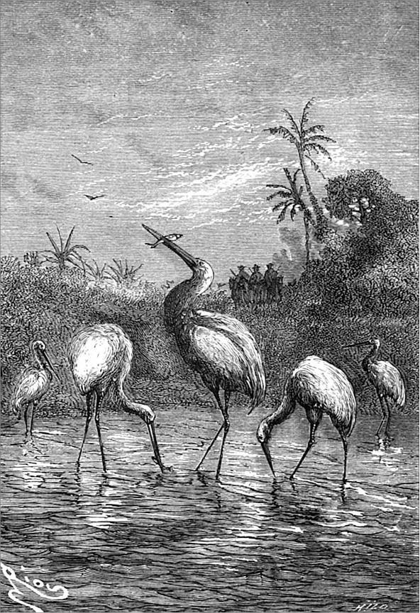 Гаспар-гаучо. Затерявшаяся гора - i_013.jpg