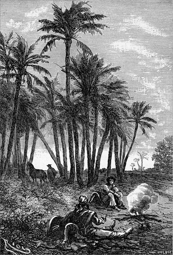 Гаспар-гаучо. Затерявшаяся гора - i_015.jpg