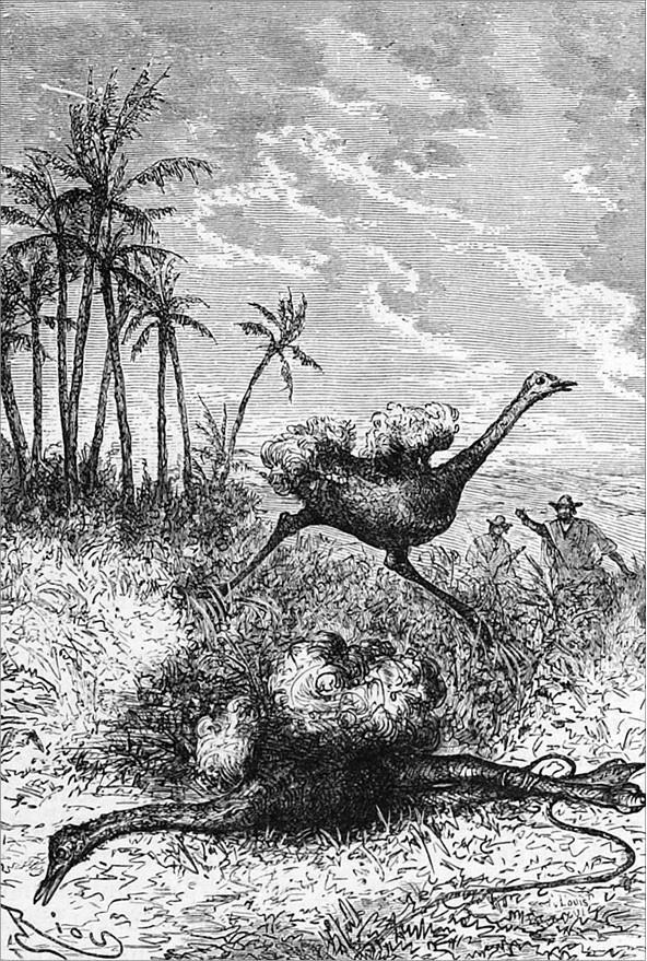 Гаспар-гаучо. Затерявшаяся гора - i_016.jpg