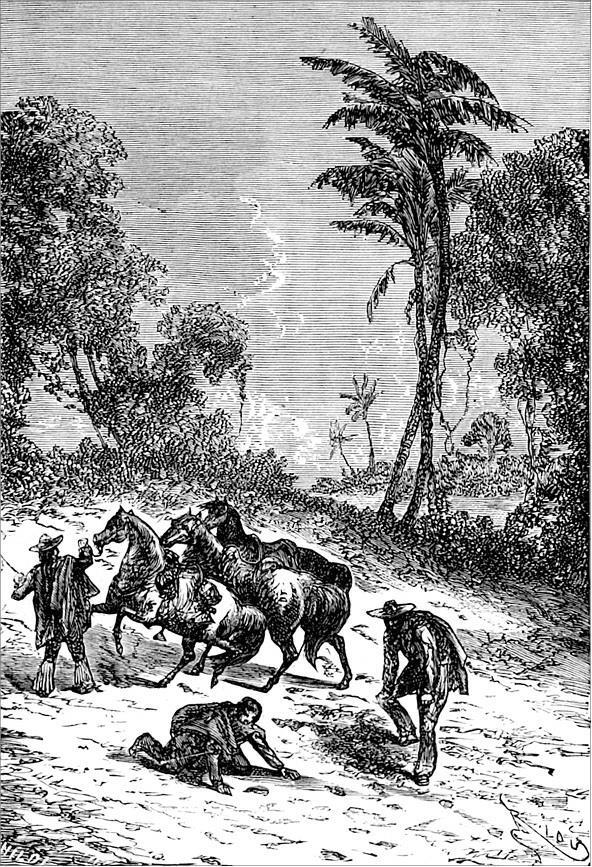 Гаспар-гаучо. Затерявшаяся гора - i_017.jpg