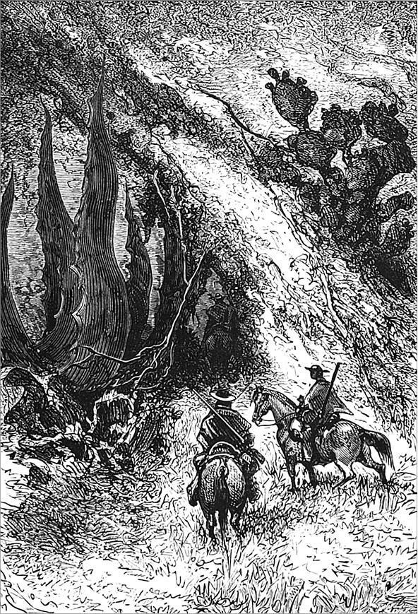 Гаспар-гаучо. Затерявшаяся гора - i_018.jpg