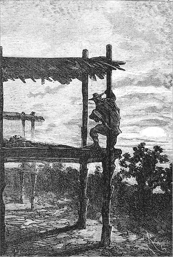 Гаспар-гаучо. Затерявшаяся гора - i_019.jpg