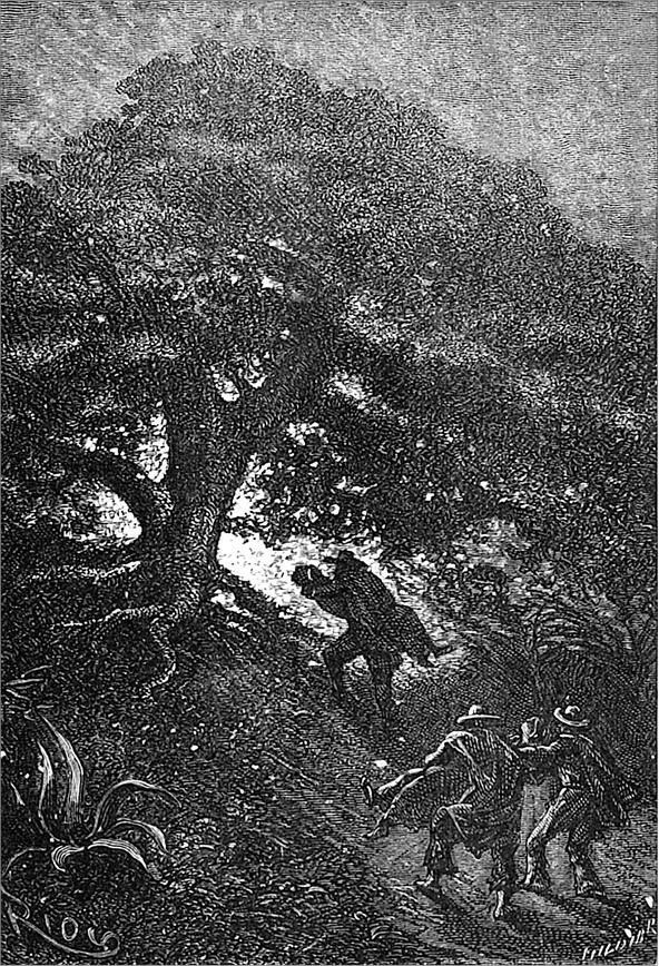 Гаспар-гаучо. Затерявшаяся гора - i_020.jpg