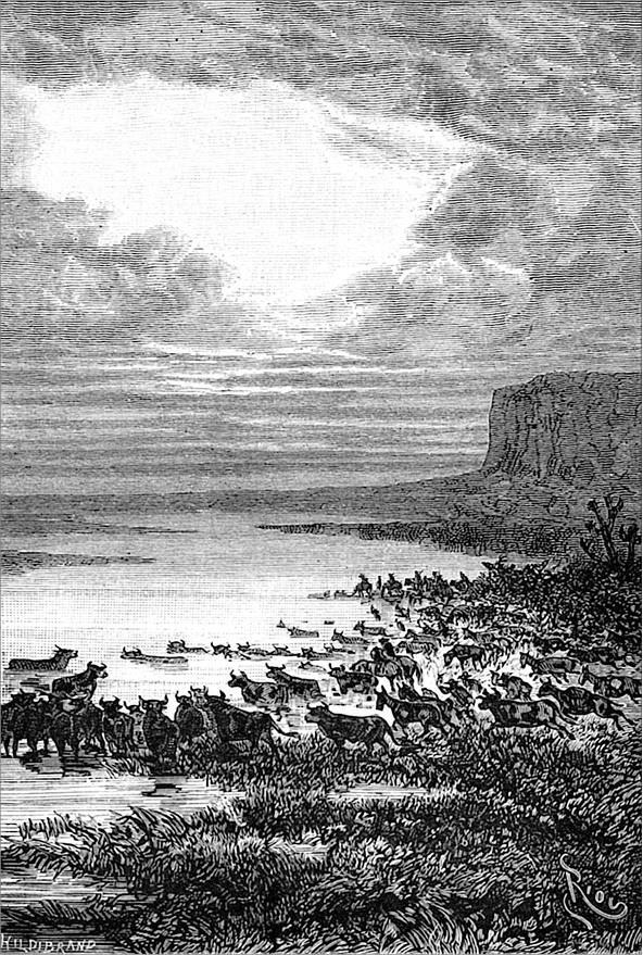 Гаспар-гаучо. Затерявшаяся гора - i_029.jpg