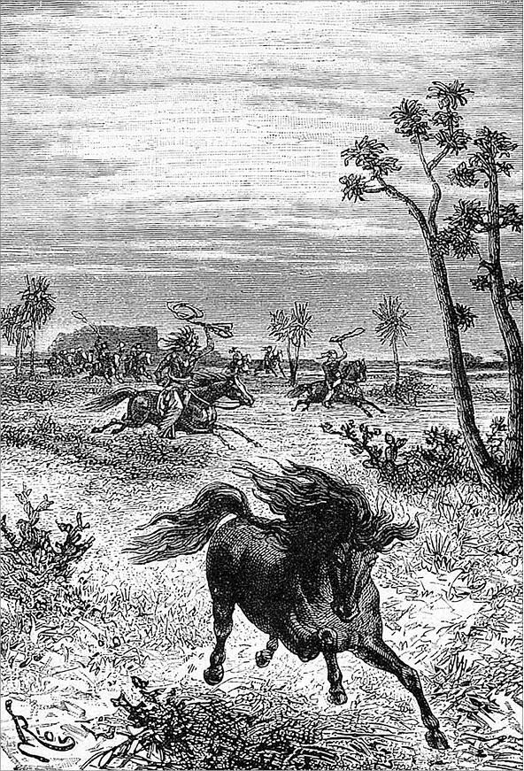 Гаспар-гаучо. Затерявшаяся гора - i_035.jpg