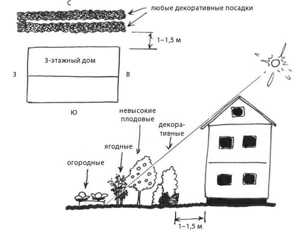 Дача в порядке. Как сделать участок красивым и урожайным - i_005.jpg