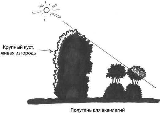 Дача в порядке. Как сделать участок красивым и урожайным - i_013.jpg