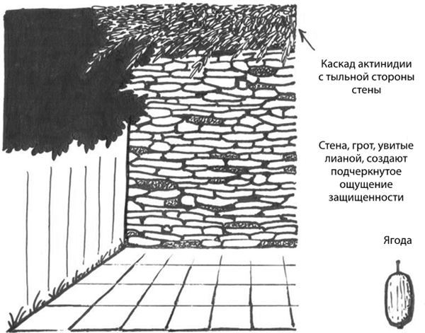 Дача в порядке. Как сделать участок красивым и урожайным - i_015.jpg