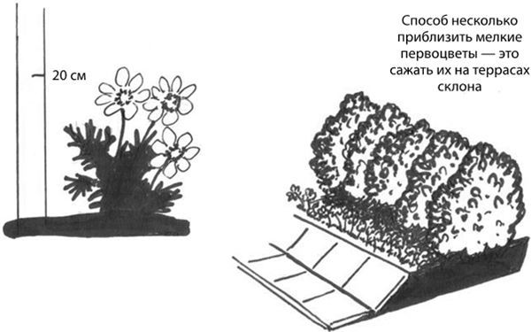 Дача в порядке. Как сделать участок красивым и урожайным - i_017.jpg