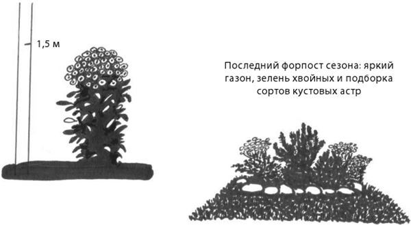 Дача в порядке. Как сделать участок красивым и урожайным - i_020.jpg