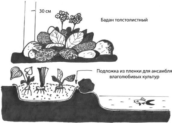 Дача в порядке. Как сделать участок красивым и урожайным - i_021.jpg