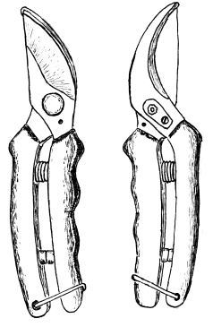 Обрезка садовых растений. Самоучитель в схемах и рисунках - i_002.jpg
