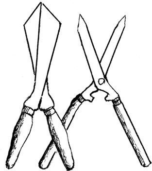 Обрезка садовых растений. Самоучитель в схемах и рисунках - i_004.jpg