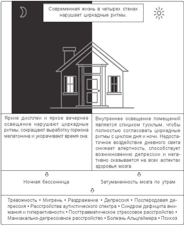 Циркадный код. Как настроить свои биологические часы на здоровую жизнь - i_003.jpg