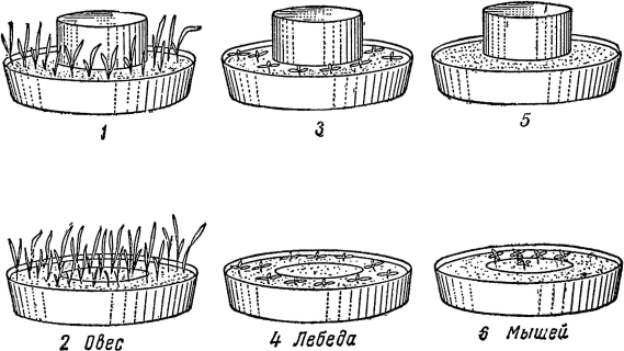 Занимательная агрономия - i_032.png