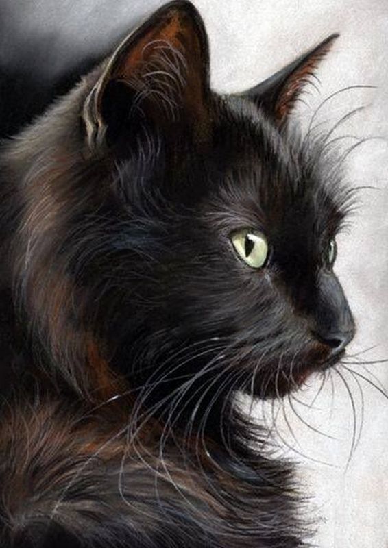 Возвращение к Мастеру (СИ) - i_013.jpg