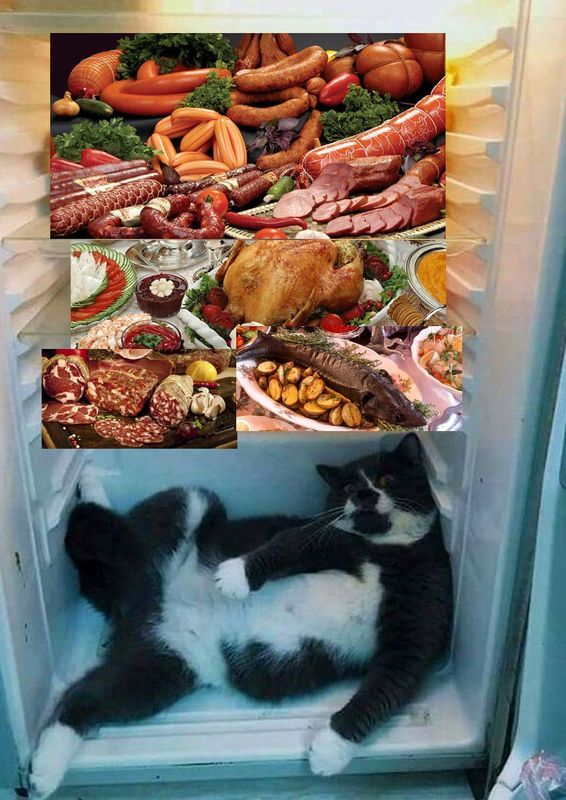 Возвращение к Мастеру (СИ) - i_030.jpg